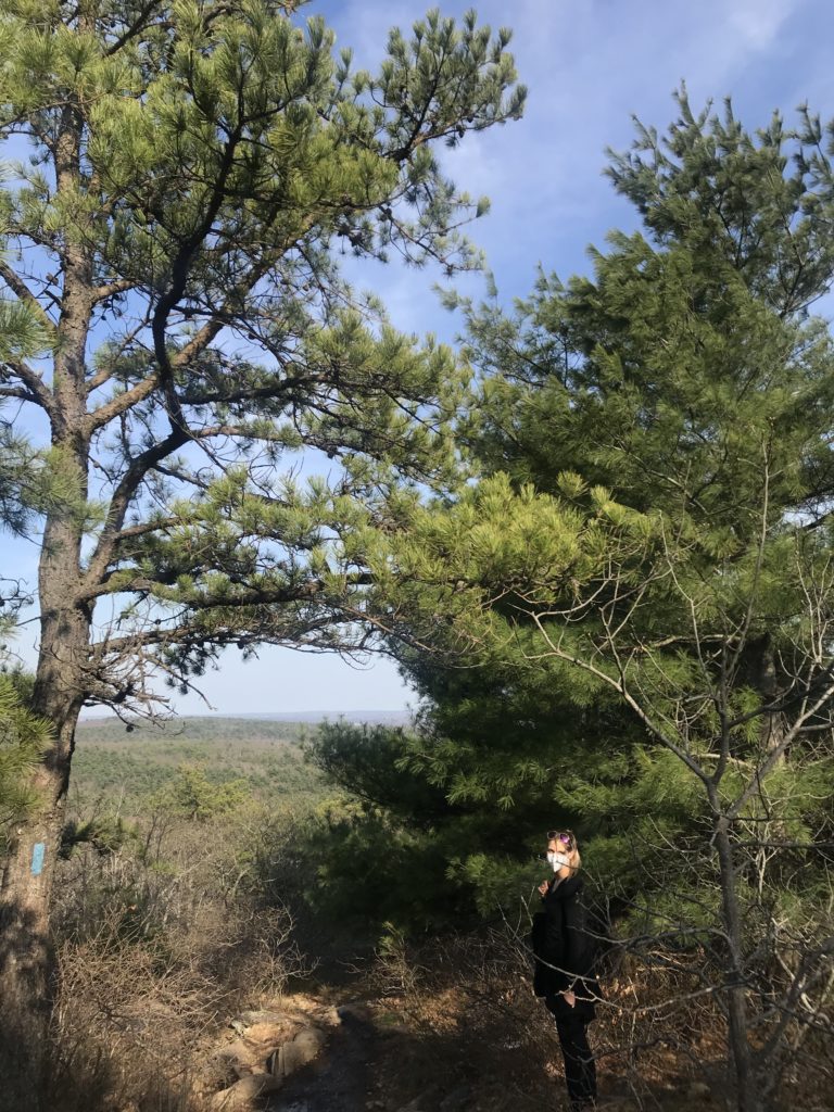 Want to find hiking trails and nature areas in New England? Toni from aWheelinthesky.com explores the skyline trail at Blue Hills Reservation, Massachusetts. Find local travel, hiking trails and nature areas in every state.