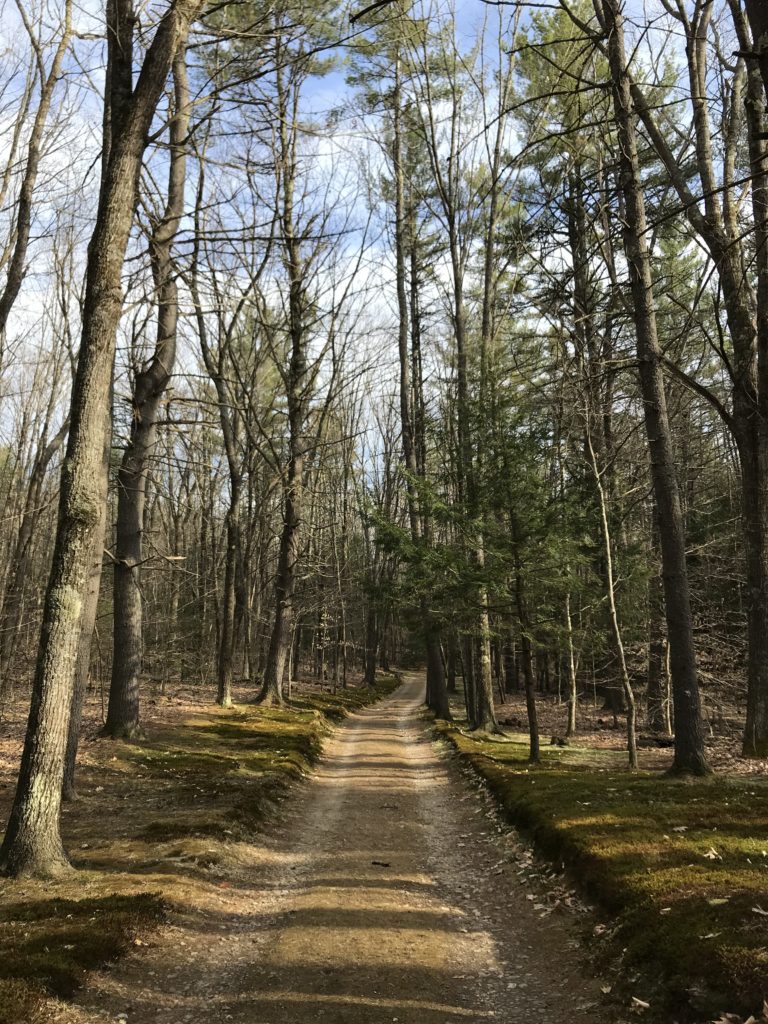 Looking for trails in New England? Tully Lake Trail in Royalston Massachusetts is a great spot for hiking, walking and kayaking. Find great nature areas and city escapes at awheelinthesky.com