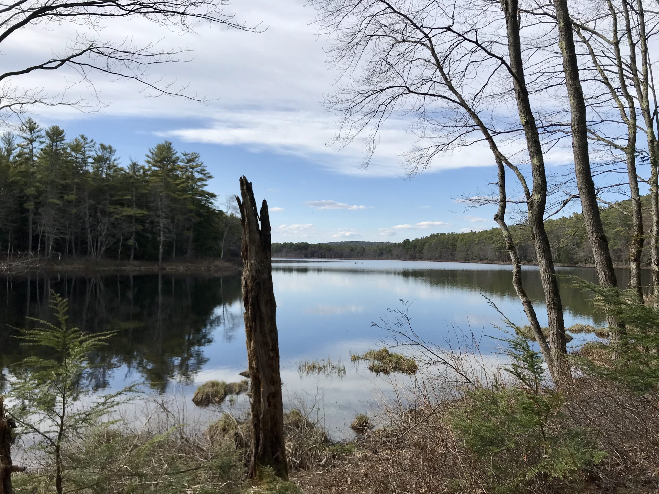 Looking for Massachusetts hiking trails? Tully Lake trail is a winding trail for hiking, walking and biking. Lake Tully is in Royalston, MA and is a great local travel spot.