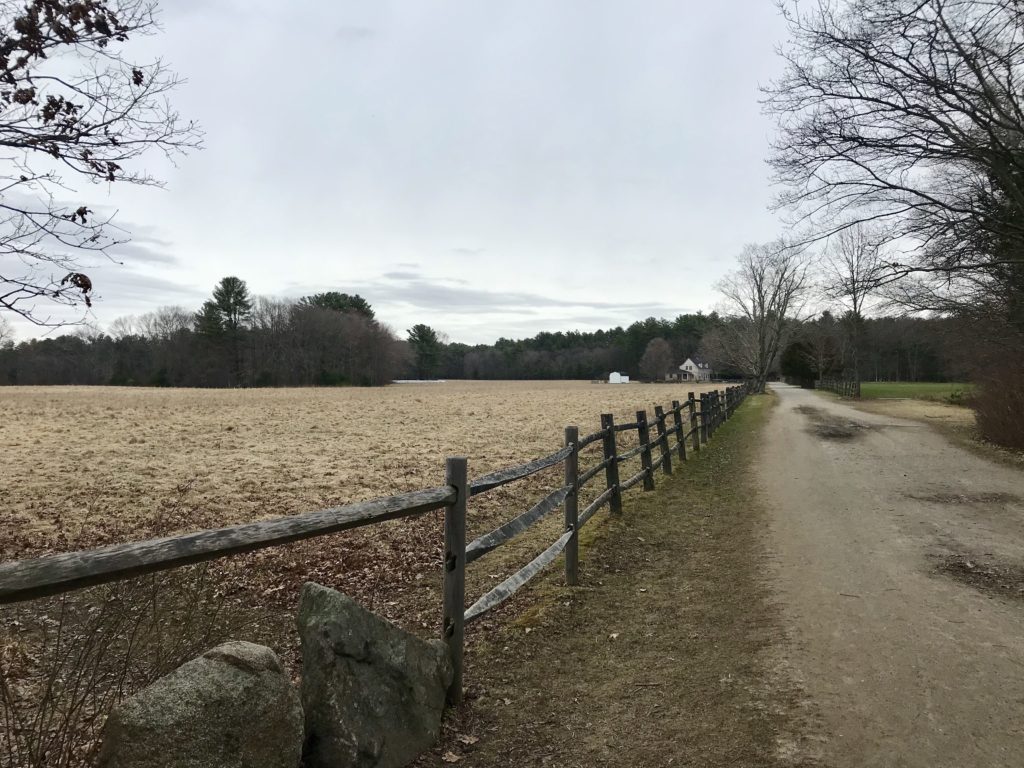 Borderland state park in Sharon, MA is a great nature park in New England. Trails for walking, running and biking. Perfect for Corona-approved local travel.