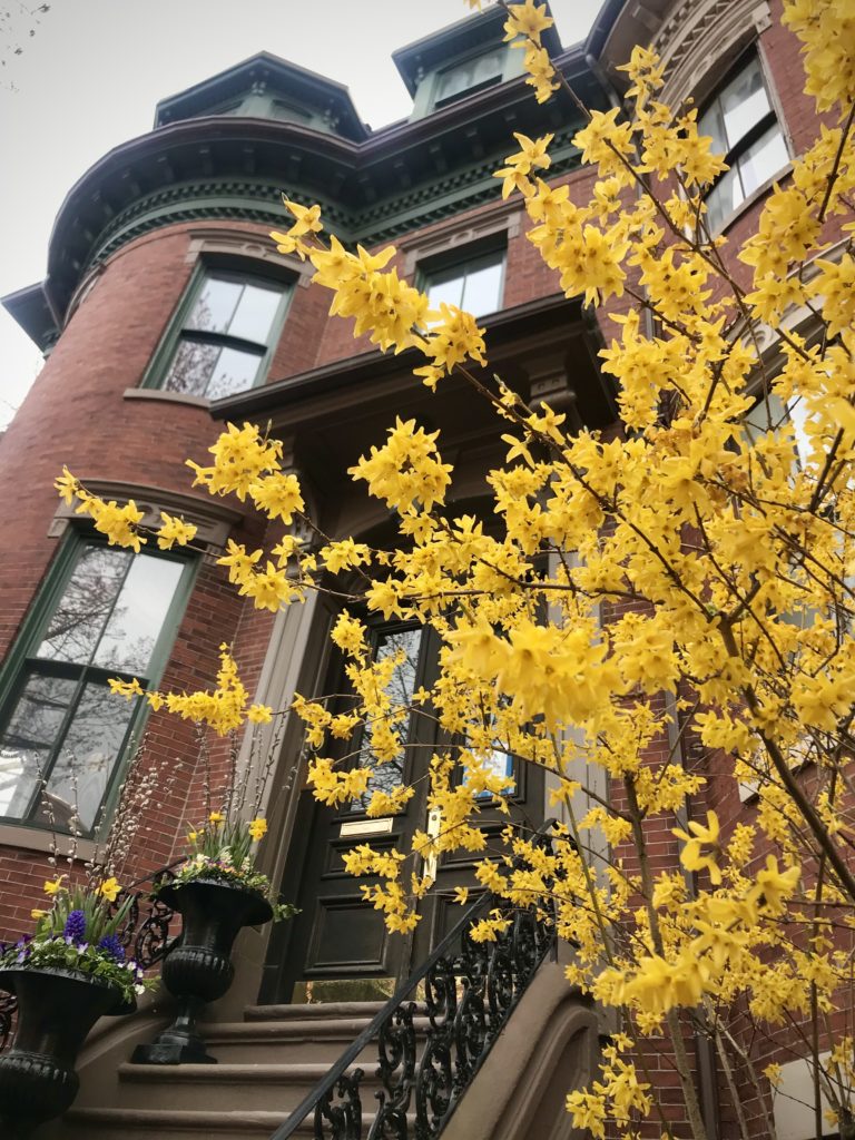 Find the best local travel ideas for nature trails or city escapes at awheelinthesky.com. Springtime in Boston is beautiful. The South End neighborhood in Boston, MA is a diverse neighborhood and great for exploring.
