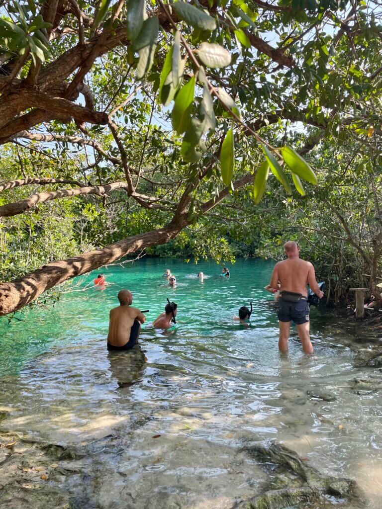 casa cenote, cenote tulum, best cenotes tulum, tulum mexico, getting dive certified tulum, getting scuba certified in tulum, learning to scuba dive in tulum mexico, cenote diving, open water diver course, PADI tulum