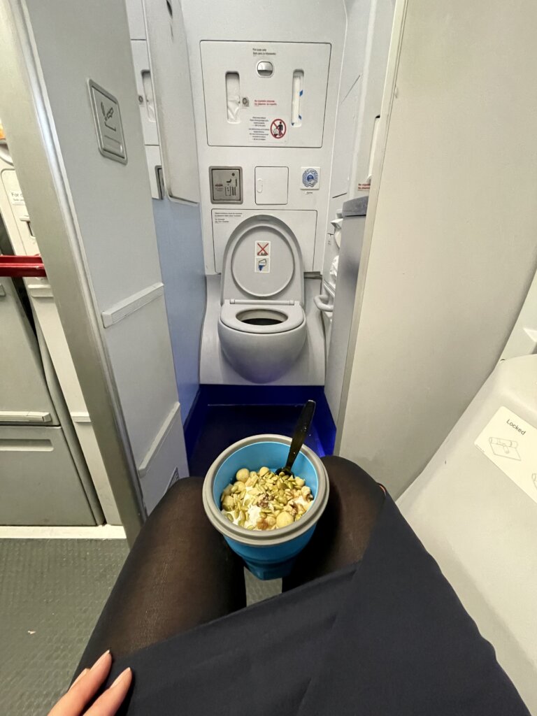 airplane bathroom, airplane lavatory, flight attendant life, flight attendant, what is it like to be a flight attendant, galley, lav, lavatory, airbus, airplane